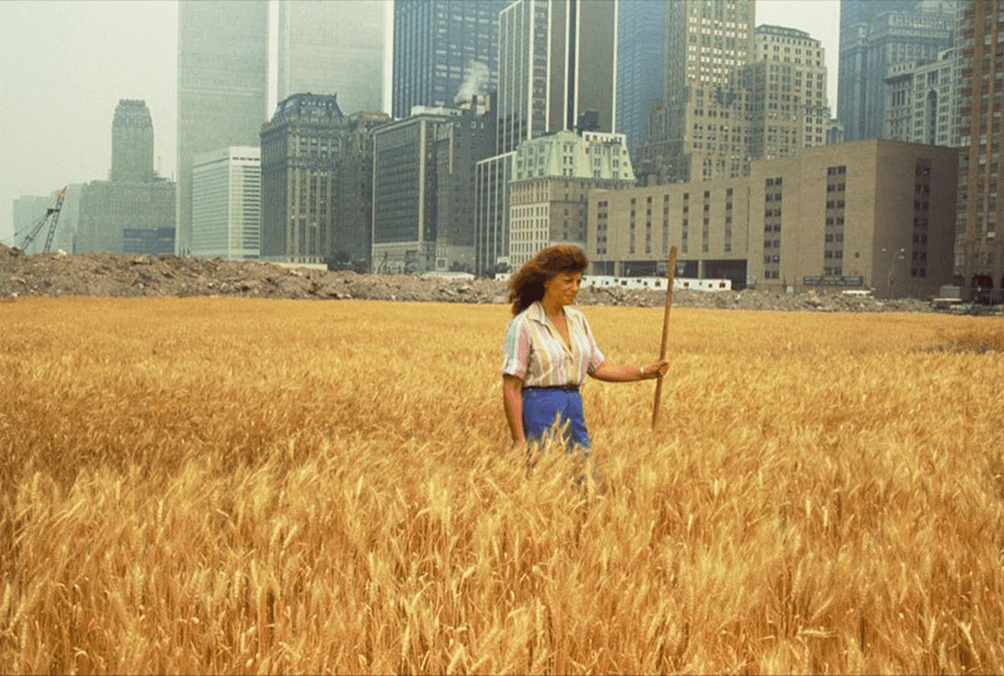 Agnes Denes dans un champ de blé à New-York